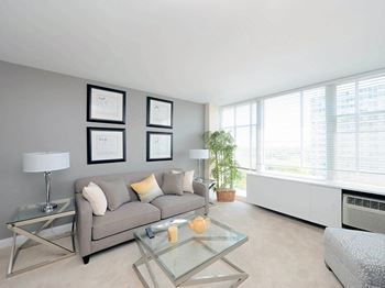 Large windows in living rooms